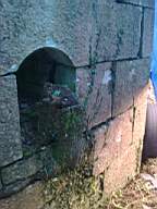 shannonbridge cap-1276.jpg